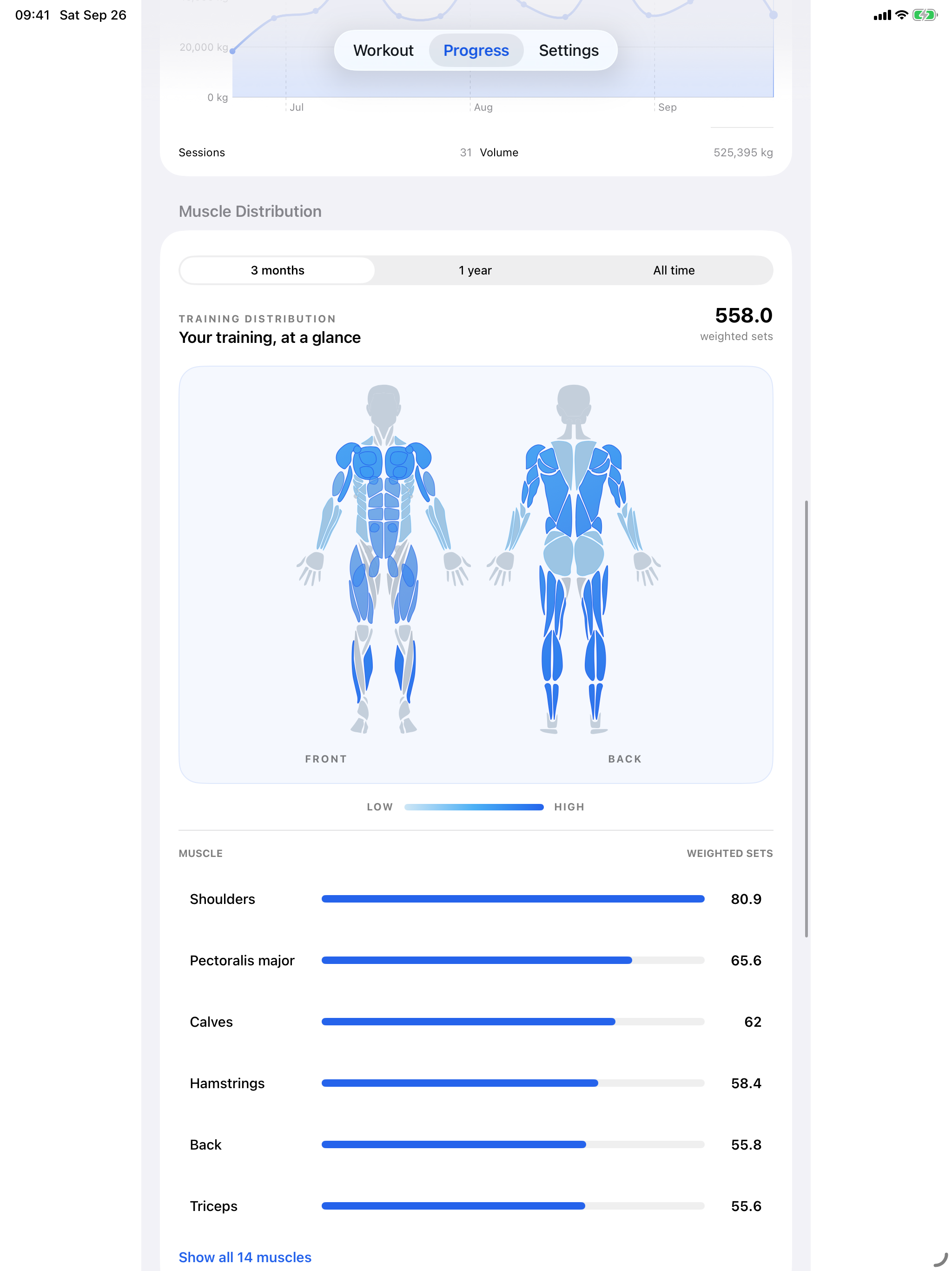 SetWise Pro muscle distribution and weighted sets on iPad